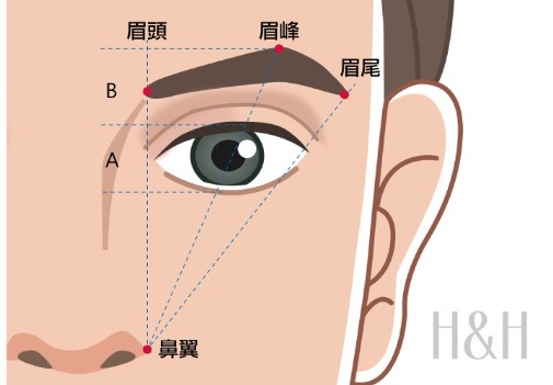 植眉手術_標準位置_H&H醫髮診所