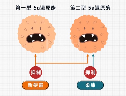 柔沛_新髮靈_原理_H&H醫髮