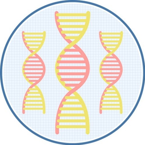 鬼剃頭-鬼剃頭原因五：男性荷爾蒙失調-H&H